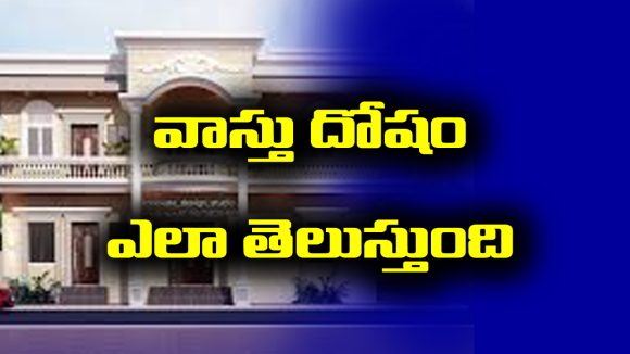 Vastu defect: మీ ఇంట్లో వాస్తు దోషం ఉందని ఇలా తెలుసుకోండి