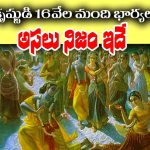 Lord Krishna: శ్రీ కృష్ణుడికి నిజంగా 16 వేల మంది భార్యలా..? అసలు నిజం ఏంటో తెలుసా