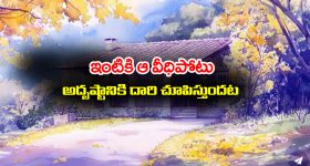Veedhi Potu: ఆ దిక్కు వీధిపోటున్న ఇంట్లో ఉంటే అష్టైశ్వర్యాలు కలిసి వస్తాయట