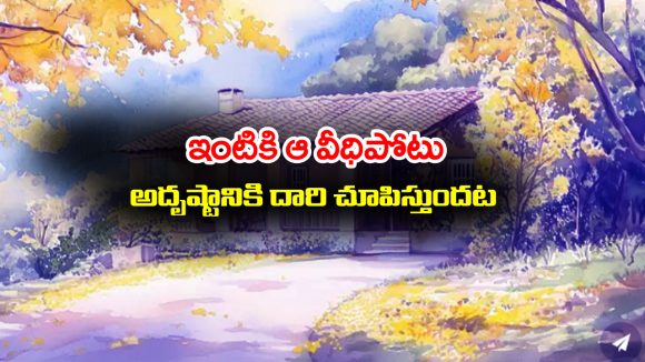 Veedhi Potu: ఆ దిక్కు వీధిపోటున్న ఇంట్లో ఉంటే అష్టైశ్వర్యాలు కలిసి వస్తాయట