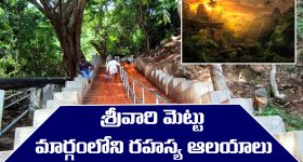 Srivari Mettu: శ్రీవారి మెట్టు మార్గంలో ఉన్న రహస్య ఆలయాలు ఏవో తెలుసా..?