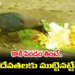 Garuda Purana: కాకి పిండం తింటే పితృ దేవతలకు చేరినట్టేనా..? అసలు గరుడ పురాణం ఏం చెప్తుంది