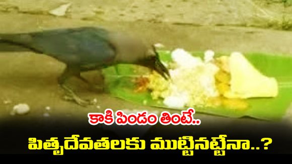 Garuda Purana: కాకి పిండం తింటే పితృ దేవతలకు చేరినట్టేనా..? అసలు గరుడ పురాణం ఏం చెప్తుంది