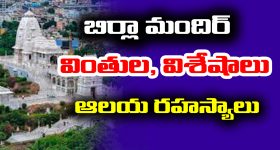 Giant Baby: పుట్టినప్పుడే 6 కిలోలు.. ఈ బుజ్జోడు మామూలోడు కాదు బాబోయ్!