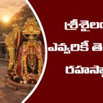 Srisailam Temple Secrets: శ్రీశైల ఆలయం గురించి ఎవ్వరికీ తెలియని రహస్య విశేషాలు