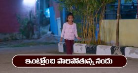Bengaluru Crime: సహజీవనంలో చిచ్చు.. ప్రియుడ్ని చంపిన నటి, బెంగుళూరులో దారుణం