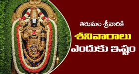 Lord Venkateswara: తిరుమల వెంకటేశ్వర స్వామికి శనివారం అంటే ఎందుకు ఇష్టమో తెలుసా..?