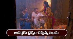 Tanvi The Great on OTT : తండ్రి ఆశయం కోసం ఓ కూతురు పోరాటం... ఎనిమిది నెలల తర్వాత ఓటీటీలోకి అనుపమ్ ఖేర్ మూవీ
