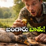 Golden Duck: బాతును కోస్తే బంగారం బయటపడింది.. దాని విలువ ఎంతో తెలుసా?