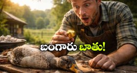 Wet-Bulb Temperature: ఎన్నడూ చూడని  ఎండ! కొత్త రిసెర్చ్‌లో షాకింగ్ విషయాలు