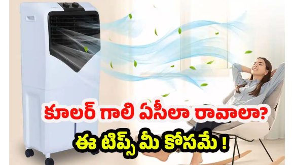 Tips For Air Cooler: కూలర్ గాలి సరిగ్గా రావడం లేదా? ఈ 6 టిప్స్‌తో ప్రాబ్లమ్ సాల్వ్ !