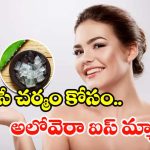 Aloe Vera Ice Cubes: బ్యూటీ పార్లర్ వెళ్లక్కర్లేదు.. ఈ కలబంద ఐస్ క్యూబ్స్‌తో ఇంట్లోనే ఫేషియల్ !