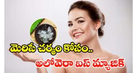 Aloe Vera Ice Cubes: బ్యూటీ పార్లర్ వెళ్లక్కర్లేదు.. ఈ కలబంద ఐస్ క్యూబ్స్‌తో ఇంట్లోనే ఫేషియల్ !