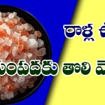 ROCK SALT: రాళ్ళ ఉప్పుతో ఇలా చేస్తే మీ సంపద  రెట్టింపు అవుతుందట