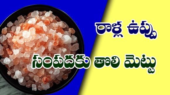 ROCK SALT: రాళ్ళ ఉప్పుతో ఇలా చేస్తే మీ సంపద  రెట్టింపు అవుతుందట