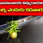 Vehicles Pooja: వాహనాలకు నిమ్మకాయలు, మిరపకాయలు ఎందుకు కడతారో తెలుసా