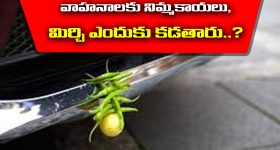 Buy Digital Gold: ఒక్క వారంలో రూ.11000 తగ్గిన బంగారం ధర.. ఆన్‌లైన్ గోల్డ్ కొనడానికి బెస్ట్ ప్లాట్‌ఫామ్స్ ఇవే