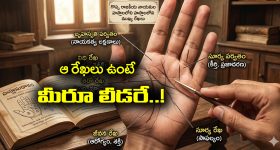 Fans On Mohsin Naqvi: న‌ఖ్వీ పెద్ద మోస‌గాడు..PSL టికెట్ల రిఫండ్ డ‌బ్బులు తినేశాడంటూ పాక్ ఫ్యాన్స్ ఫైర్
