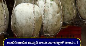 Cyber Bribery: ఎల్బీనగర్ సైబర్ క్రైమ్ స్టేషన్‌పై ఏసీబీ పంజా.. ఇద్దరు ఎస్సైలు రెడ్ హ్యాండెడ్‌గా అరెస్ట్!