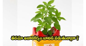 Eating Fast: టైం లేదని త్వరగా తింటున్నారా ? మీ జీర్ణవ్యవస్థ పడుతున్న ఇబ్బందులు తెలుసుకోండి