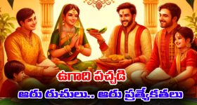Croma Deals: ఇండక్షన్ స్టవ్స్‌పై.. అదిరిపోయే డిస్కౌంట్లు.. ఇప్పుడు కాక‌ ఇంకెప్పుడు!