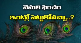 Air India: ఎయిర్ ఇండియా కీలక నిర్ణయం.. క్యాబిన్ క్రూ ఫిట్‌నెస్‌ ఇష్యూ, తేడా వస్తే జీతంలో కోత