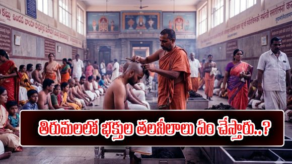 Tirumala: తిరుమలలో భక్తులు ఇచ్చినా తలనీలాలు ఏం చేస్తారో తెలుసా..?