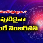 Born: ఆ నెలలో పుట్టిన జాతకులు ఏ రంగంలో ఉన్నా నెంబర్ వన్ పొజిషన్ కు ఎదుగుతారట