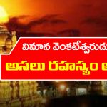 Vimana Venkateswara Swami: తిరుమల గోపురం మీదున్న విమాన వెంకటేశ్వర స్వామికి  ఆ పేరెలా వచ్చిందో తెలుసా