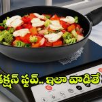 How To Use Induction: ఇండక్షన్ స్టవ్ మీద వంట చేయడం ఎలా ? ఎలాంటి పాత్రలు అవసరం?