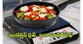 How To Use Induction: ఇండక్షన్ స్టవ్ మీద వంట చేయడం ఎలా ? ఎలాంటి పాత్రలు అవసరం?