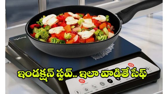 How To Use Induction: ఇండక్షన్ స్టవ్ మీద వంట చేయడం ఎలా ? ఎలాంటి పాత్రలు అవసరం?