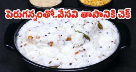 White Magic for Health: ఆరోగ్యానికి 'వైట్ మ్యాజిక్', ఎండలను తట్టుకోవాలంటే పెరుగు అన్నమే శరణ్యమట