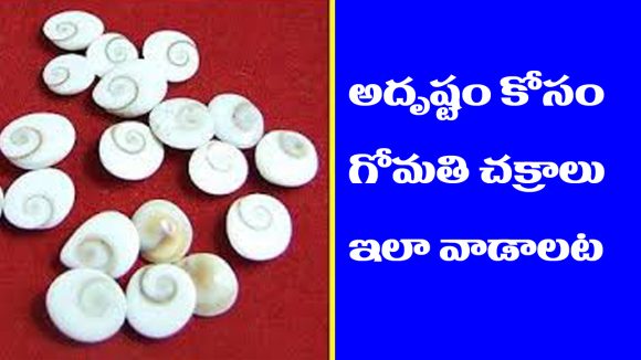 Gomati Chakra: అన్ని పరిహారాలకు గోమతి చక్రంతో చేసే రెమెడీ అద్భుతంగా పని చేస్తుందట – ఎలా చేయాలో తెలుసా