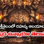 Secret Temples in Srisailam: శ్రీశైలంలో ఎవ్వరికీ తెలియని రహస్య ఆలయాలు – ఎక్కడ ఉన్నాయో తెలుసా..?