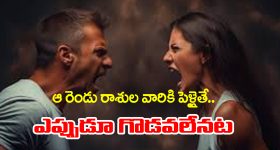 zodiac signs: ఆ రెండు రాశుల జాతకులకు పెళ్ళైతే ఎప్పుడూ గొడవలేనట