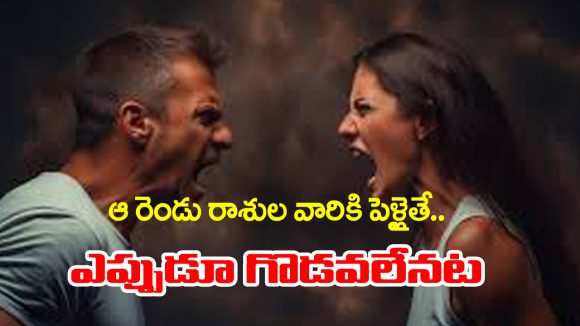 zodiac signs: ఆ రెండు రాశుల జాతకులకు పెళ్ళైతే ఎప్పుడూ గొడవలేనట