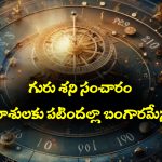 గురు, శని గ్రహాల సంచారం – ఆ నాలుగు రాశులకు పట్టిందల్లా బంగారమేనట