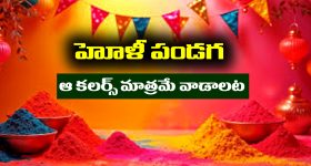 Holi 2026: హోలీ రంగులు దేనికి సంకేతమో తెలుసా..? అసలు హోలీ రోజు ఆ 4 రంగులే వాడాలట