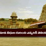 Mada Veedhulu: మాడ వీధులు అంటే అర్థం తెలుసా..? తిరుమలలో ఎన్ని మాడ వీధులు ఉంటాయంటే