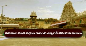 Mada Veedhulu: మాడ వీధులు అంటే అర్థం తెలుసా..? తిరుమలలో ఎన్ని మాడ వీధులు ఉంటాయంటే