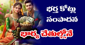 husband's income: భర్త ఆదాయం పెరగాలంటే - భార్య ఈ నియమాలు పాటించాలట