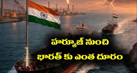 Gomati Chakra: అన్ని పరిహారాలకు గోమతి చక్రంతో చేసే రెమెడీ అద్భుతంగా పని చేస్తుందట - ఎలా చేయాలో తెలుసా