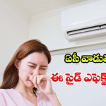 Side Effects of AC: చల్లని గాలి.. బోలెడన్ని రోగాలు! ఏసీ వల్ల కలిగే ఈ 10 నష్టాల గురించి మీకు తెలుసా?