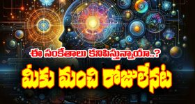 Rituals: ఈ నియమాలు పాటించకుండా ఎన్ని పూజలు చేసినా వృథాయేనట
