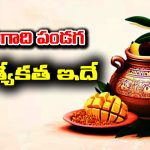 Ugadi festival: ఉగాది పండుగ ప్రత్యేకత ఏంటో తెలుసా..?