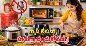 LPG Alternatives: గ్యాస్ సమస్య వేధిస్తుందా? ఈ స్మార్ట్ పరికరాలతో.. నచ్చింది తినేయచ్చు!
