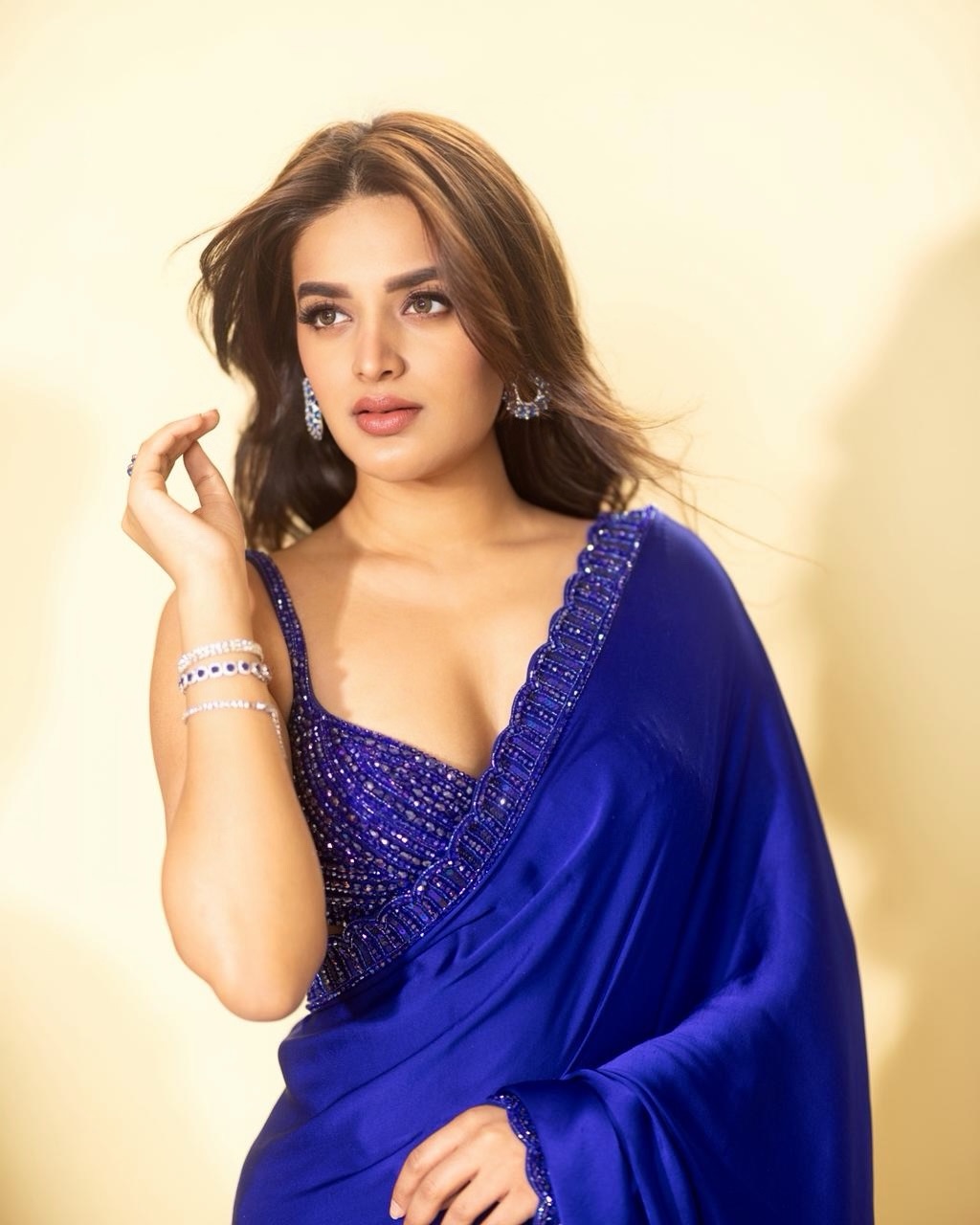 Actress Nidhi Agerwal Photo Gallery