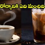 Hot Coffee vs Cold Coffee: హాట్ కాఫీ వర్సెస్ కోల్డ్ కాఫీ.. పోషకాలు దేనిలో ఎక్కువ?