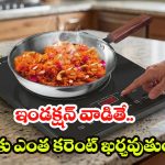 Induction Stove: గ్యాస్ కంటే చౌకగా ఇండక్షన్‌పై వంట.. గంట వాడితే ఎంత ఖర్చవుతుందంటే ?